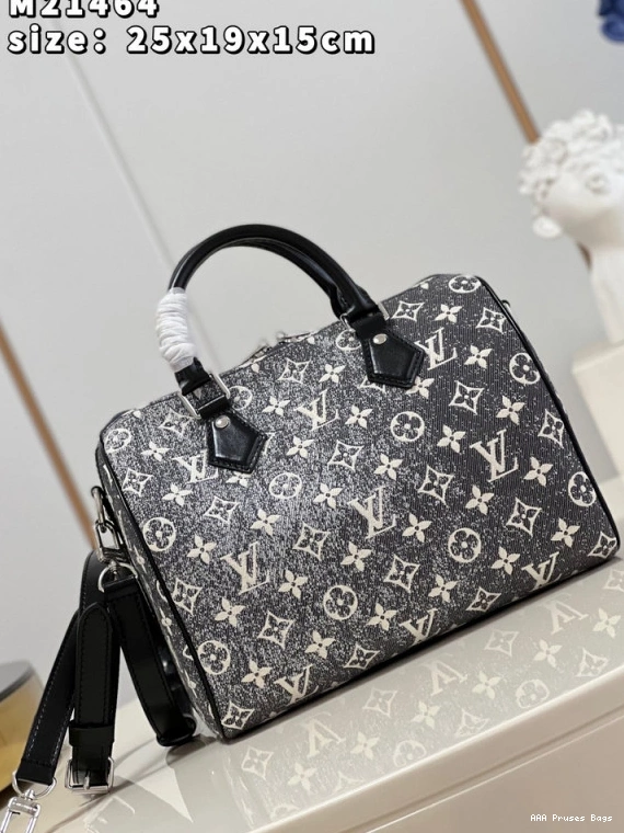 AAA Replica Ru BANDOULIÈRE LOUIS VUITTON 25 SPEEDY 0824